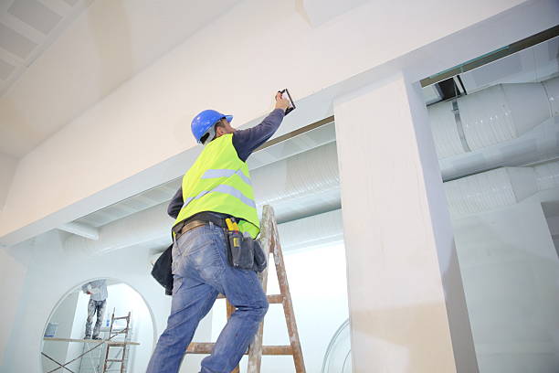 Best Commercial Painting  in Pflugerville, TX